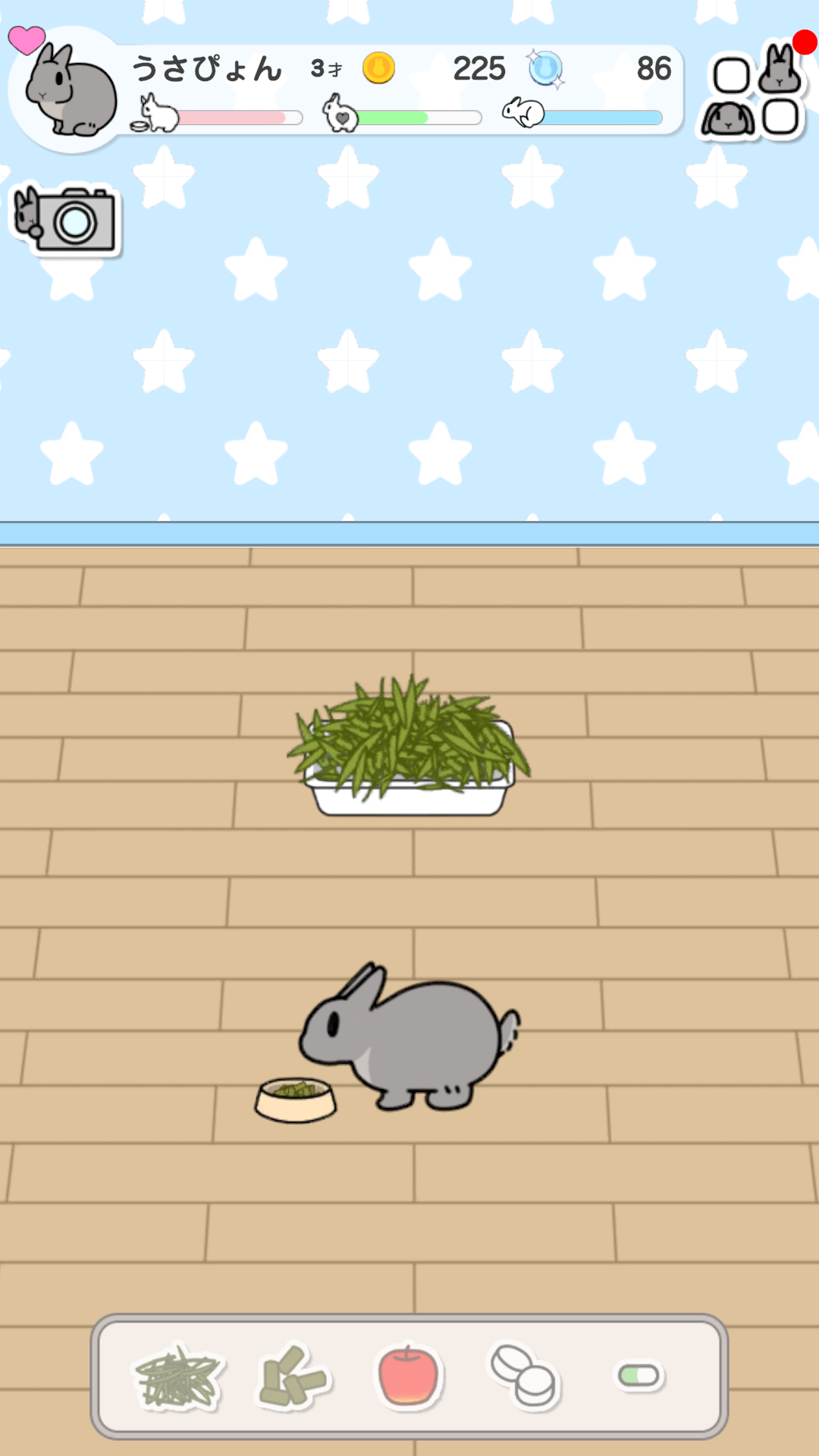 うさびより 〜もしも、うさぎと暮らすなら〜