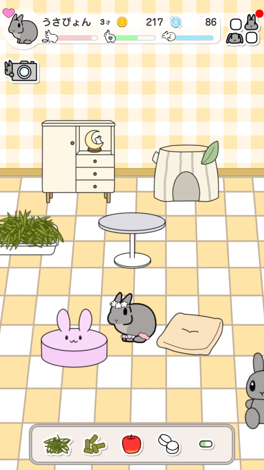 うさびより 〜もしも、うさぎと暮らすなら〜